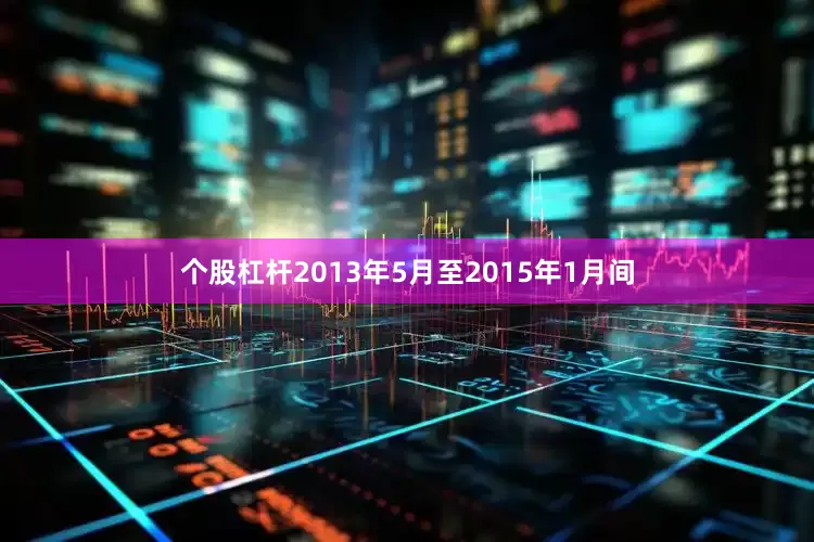个股杠杆2013年5月至2015年1月间