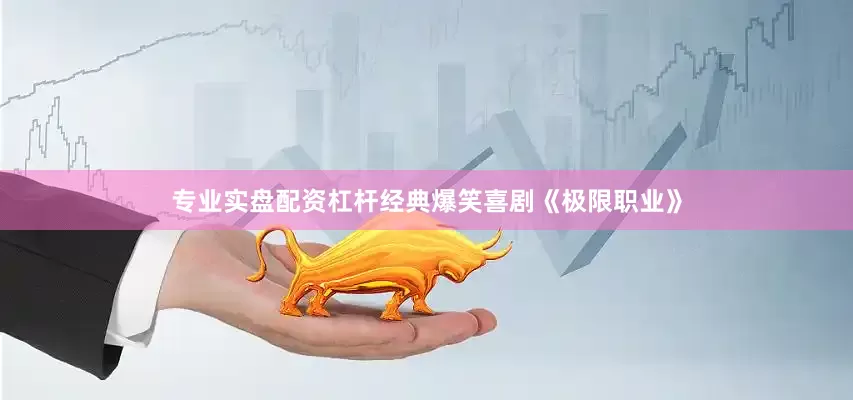 专业实盘配资杠杆经典爆笑喜剧《极限职业》